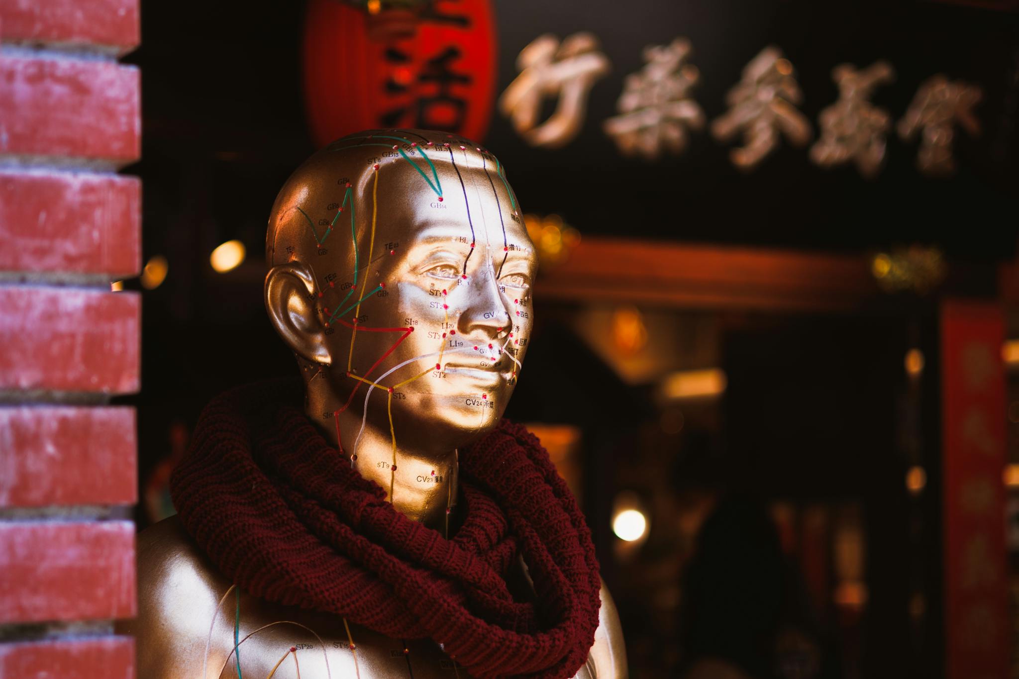 Golden acupuncture mannequin with colorful lines and a red scarf in a traditional Asian outdoor setting.